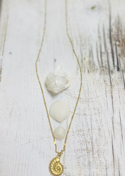 Aurora Shell Necklace