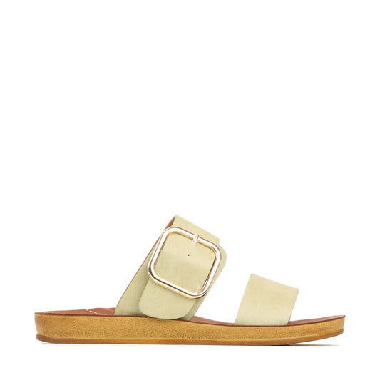 Doti Sandal Sage